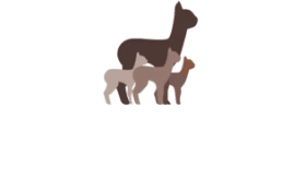 Little Alpacas logo-white-3